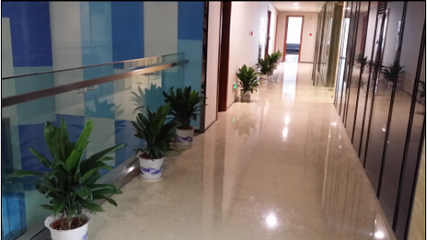 專業花卉出租服務 打造您的綠色空間