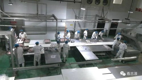 市政協(xié)調研組深入古浪縣調研農(nóng)產(chǎn)品加工產(chǎn)業(yè)發(fā)展現(xiàn)狀，聚焦工程與技術研發(fā)新路徑